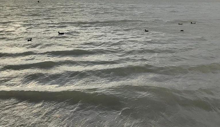 Bitrix 182314: 7.jpg