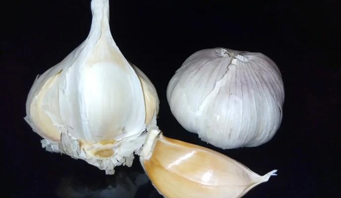 Bitrix 183663: 7.jpg