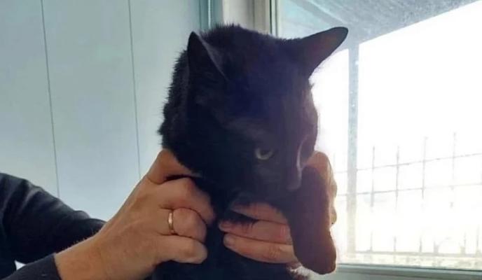 Bitrix 171255: 7.jpg