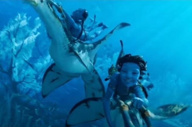 Bitrix 130851: 7.jpg