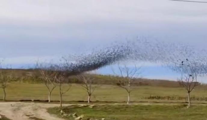 Bitrix 162326: 7.jpg