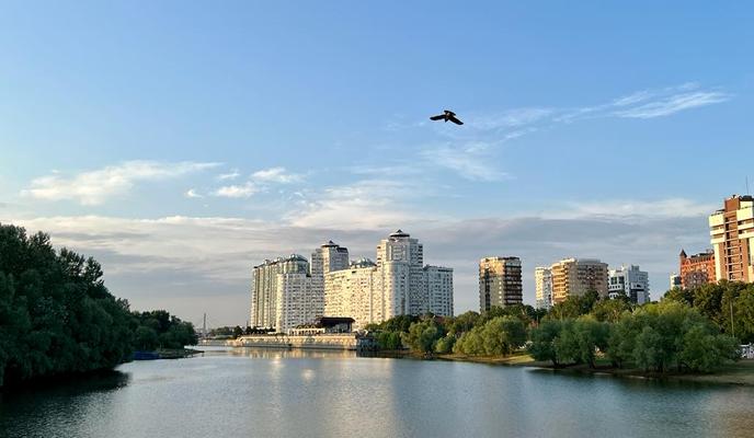 Bitrix 136369: 7a3a95a4_54ae_4ff7_941c_b9d12510a490.jpg