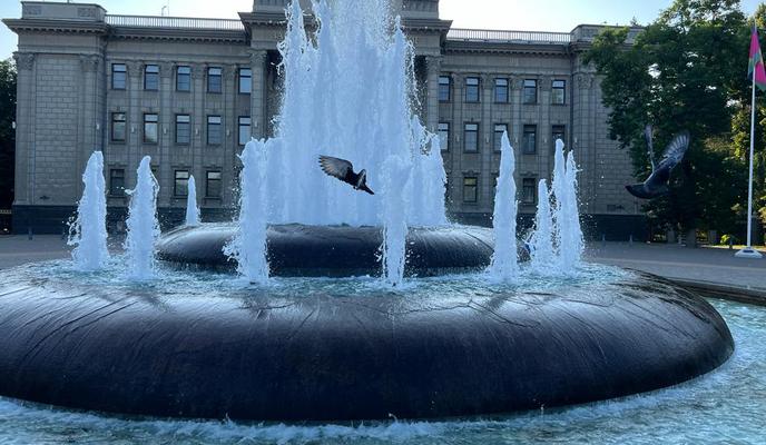 Bitrix 135782: 7a951f48_c5f4_4347_ad4c_c789b9cb6c0f.jpg