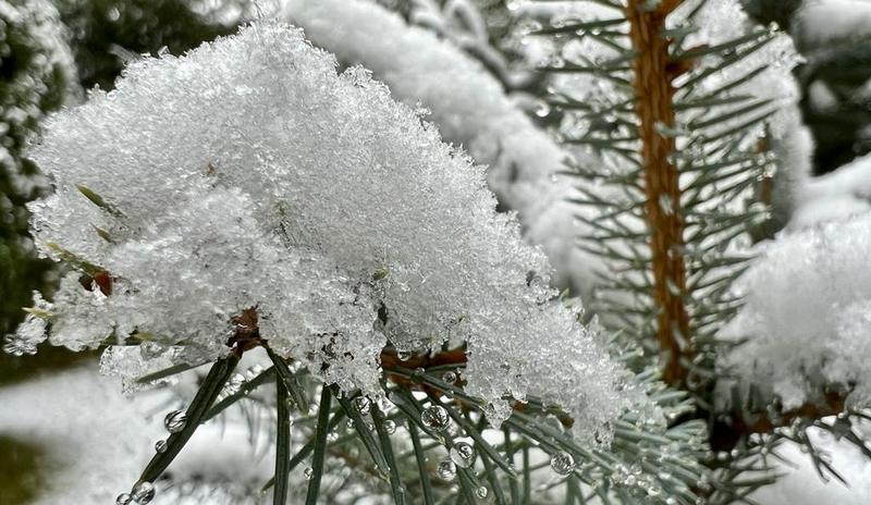 Bitrix 144687: 7b2db5e9_22e3_4f16_a8d1_183ae867a94f.jpg