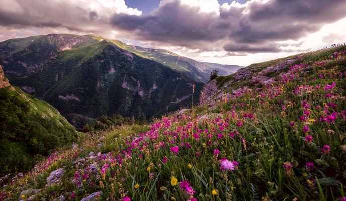 Bitrix 96654: 7d9825c5678f8f31259c3a5b1c383dcb.jpeg