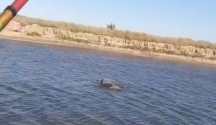 Bitrix 177564: 80.jpg