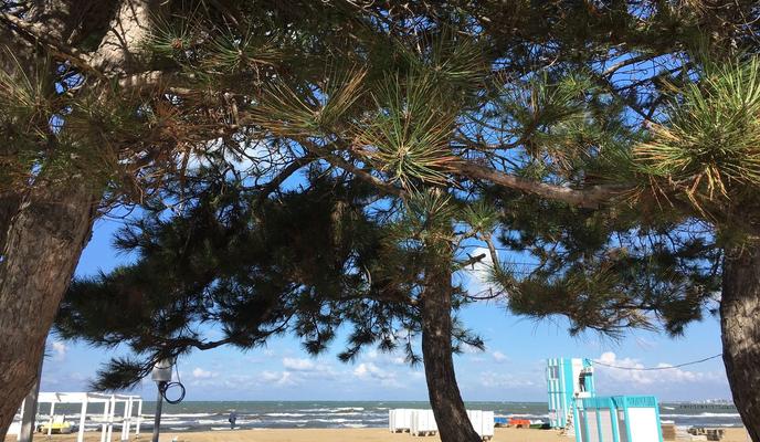 Bitrix 107032: 8109bc5d_2c9e_4243_ae8d_15efa8df1491.jpeg