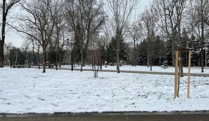 Bitrix 114781: 8190dc75_3c35_4077_94a0_06de72525b5d.jpg