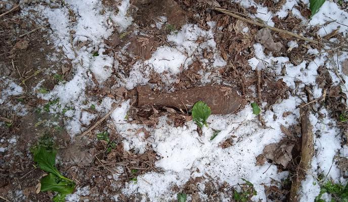 Bitrix 115209: 81_mina_vov.jpg