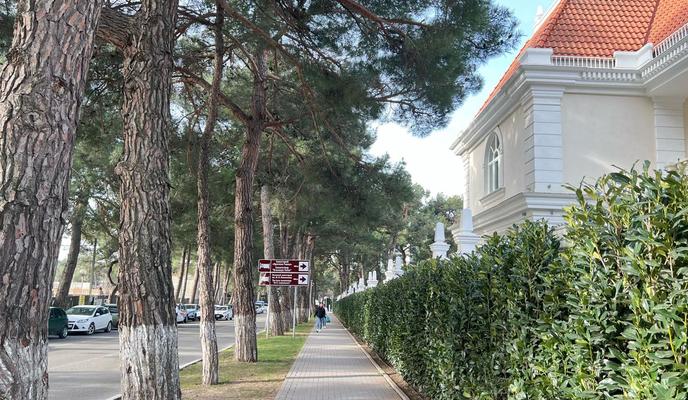 Bitrix 185738: 8214c6ec_922d_4dfd_be0d_1a36647b4165.jpg