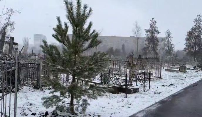 Bitrix 163465: 82.jpg