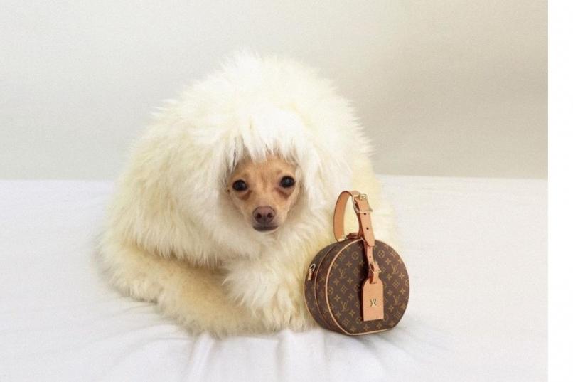 Bitrix 74753: 83381652_115117916715974_3966607614192632528_n.jpg