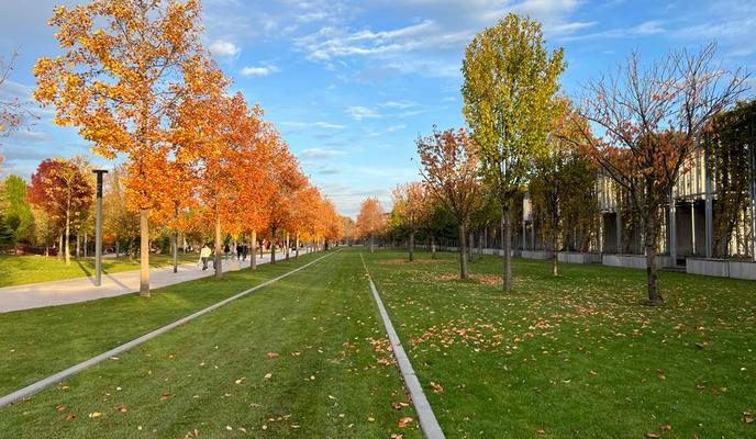 Bitrix 125550: 83ce6fea_0898_4d44_80bf_c2e84bda628f.jpg