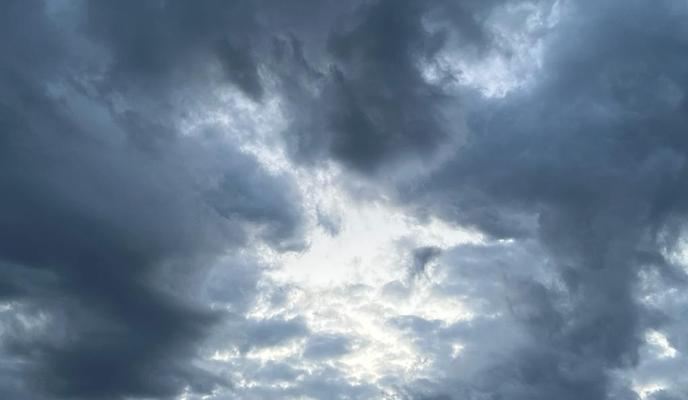 Bitrix 183417: 846e3327_63e8_43dc_a372_1c0201f39cab.jpg