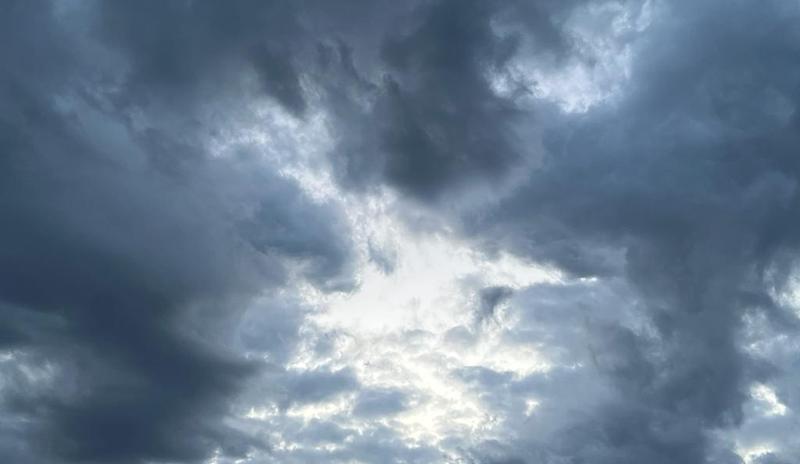 Bitrix 183417: 846e3327_63e8_43dc_a372_1c0201f39cab.jpg