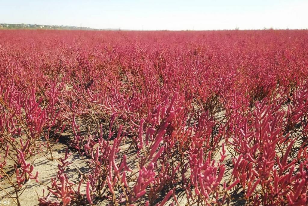 Bitrix 83061: 852369.jpg