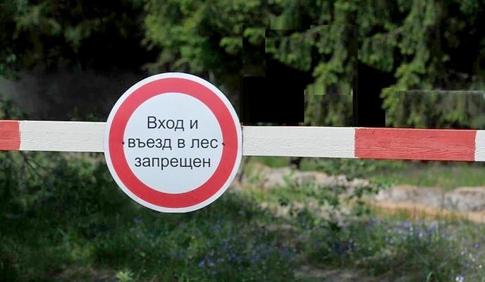 Bitrix 99952: 852.jpg