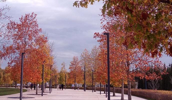 Bitrix 158802: 852.jpg