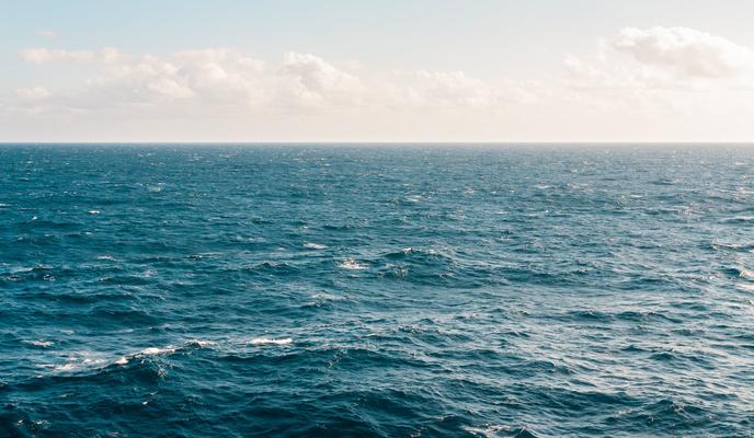 Bitrix 100746: 85.jpeg