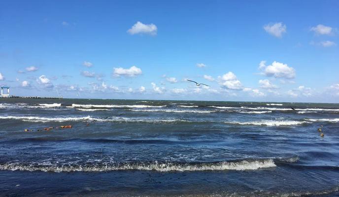 Bitrix 169660: 87.jpeg