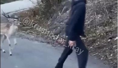 Bitrix 148460: 87.jpg