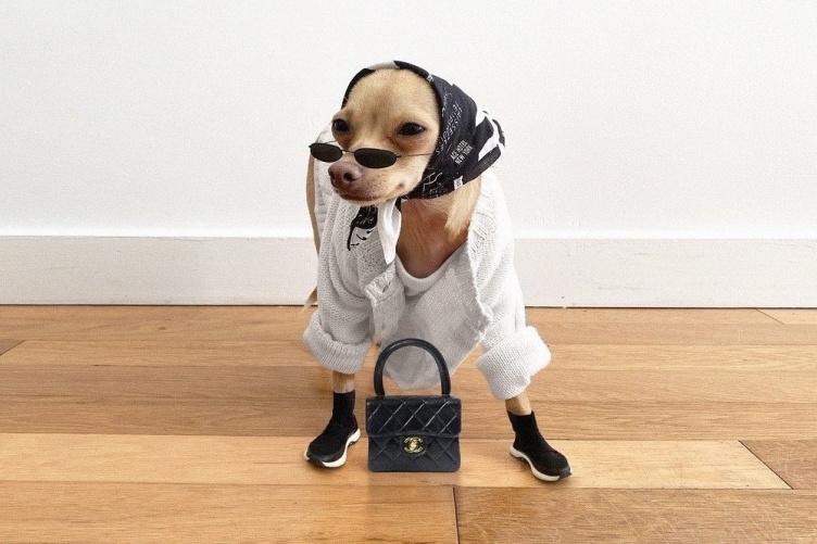 Bitrix 74754: 88276765_753201148540208_6020502387995519426_n.jpg