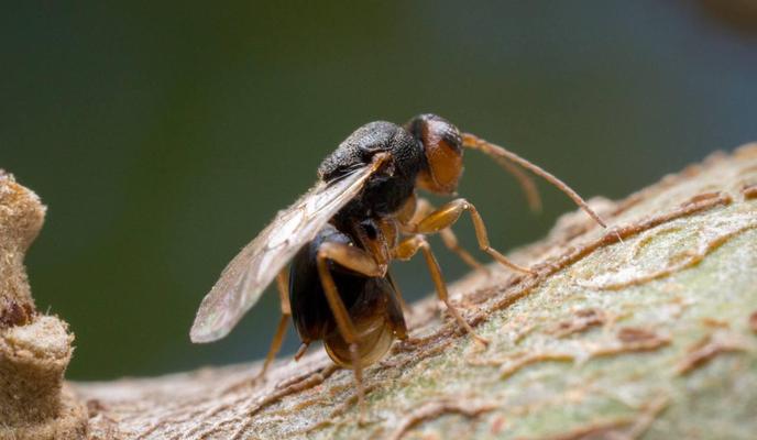 Bitrix 98837: 8869040e_b41f_4581_8f21_f0085202b5db.jpg