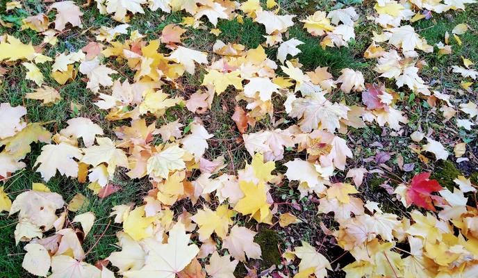 Bitrix 158599: 88888.jpg