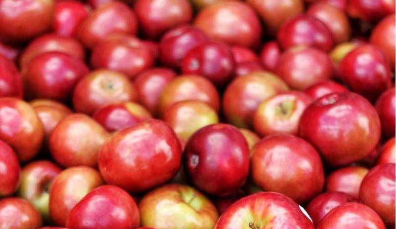 Bitrix 100001: 888.jpeg