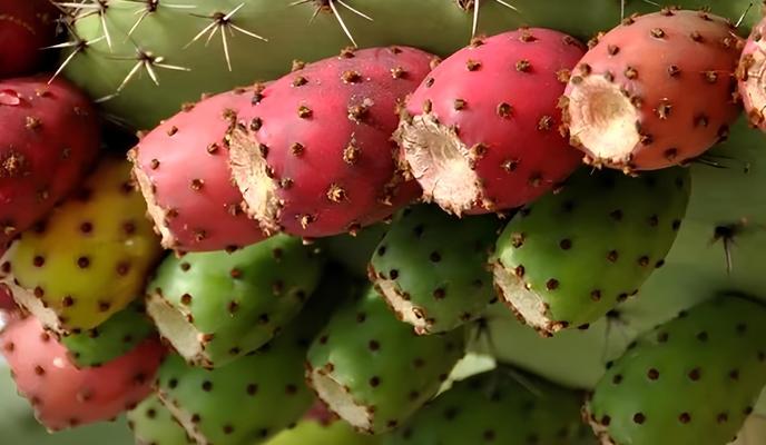 Bitrix 159287: 888.jpg