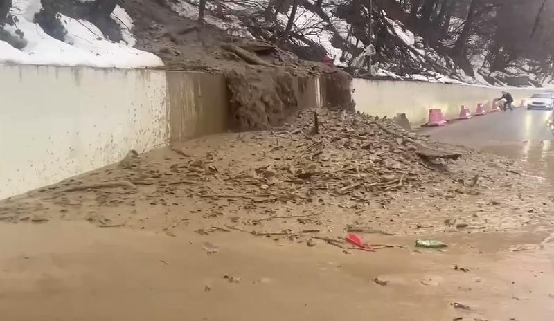 Bitrix 183513: 88.jpg