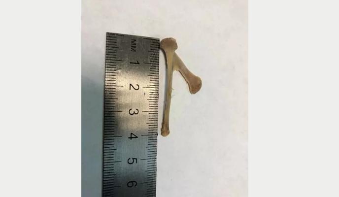 Bitrix 127685: 88.png