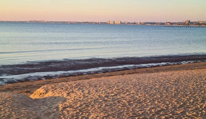 Bitrix 185368: 88.jpg