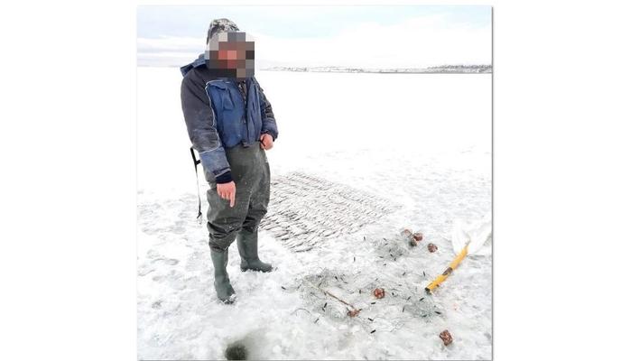 Bitrix 92535: 88.jpg