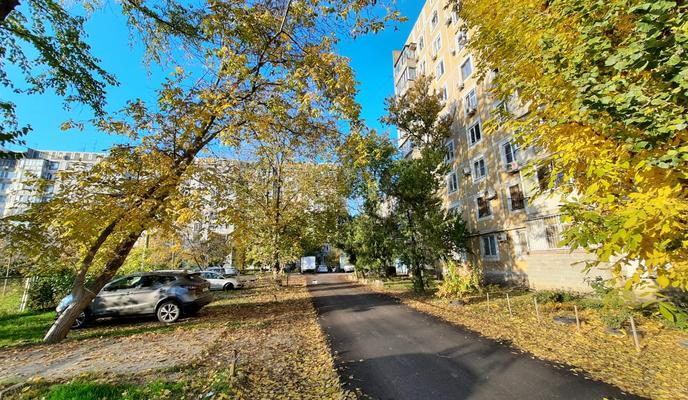 Bitrix 106972: 88d03bc2_c46b_4147_99ab_1ba86a04e12d.jpg