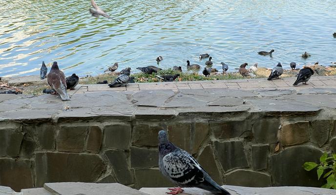 Bitrix 146238: 88f8b19f_ca31_4bf3_bd4e_a9aafffccfdb.jpg