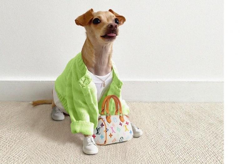 Bitrix 74755: 89298386_224654605355353_6022669213985908019_n.jpg