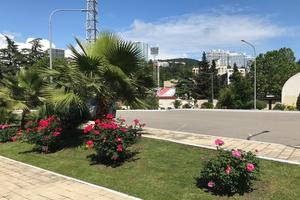 899df3da-17b5-443e-a335-3d4022f3dfe6