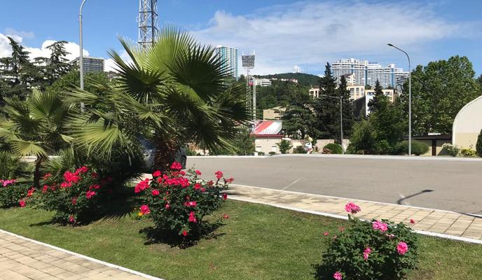 899df3da-17b5-443e-a335-3d4022f3dfe6