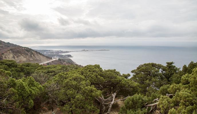 Bitrix 107629: 8W7A4052.jpg