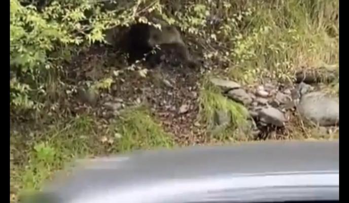 Bitrix 104864: 8WJTSgTa58o.jpg