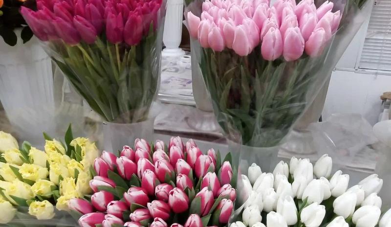 Bitrix 184668: 8.jpg