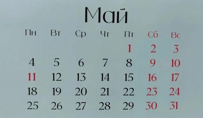 Bitrix 185346: 8.jpg