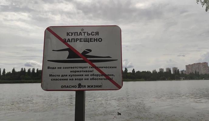 Bitrix 173336: 8.jpg