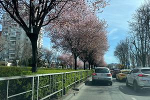 8b3e1db0-e64c-4cf5-8ea7-bbe99ac850b9