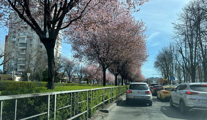 8b3e1db0-e64c-4cf5-8ea7-bbe99ac850b9