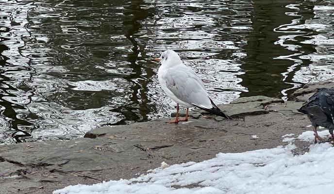 Bitrix 144624: 8b8b5ab6_4b4a_4037_8173_7024d5e94284.jpg