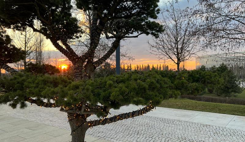 Bitrix 184296: 8ed39330_9639_4458_85c6_8e844ae86c52.jpg