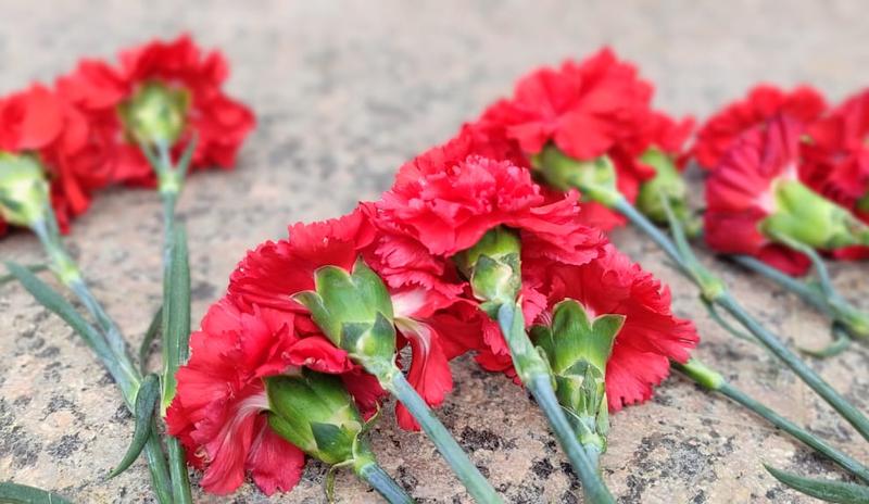 Bitrix 185003: 9-maya-gvozdiki2.jpeg