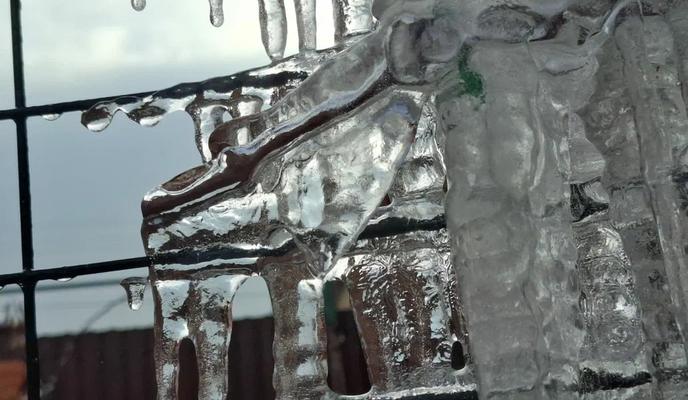 Bitrix 166036: 900.jpg